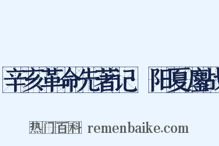 辛亥革命先著记·阳夏鏖战是什么意思的图片
